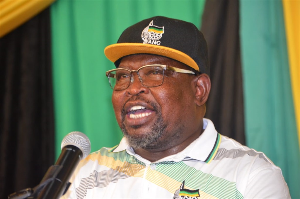 Minister of Finance Enoch Godongwana said the party has thieves who are tarnishing ANC's name. Photo by Lulekwa Mbadamane