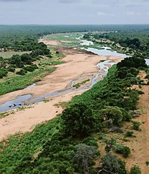 The disputed land at the confluence of the Greater Letaba and Klein Letaba rivers, where the boundaries of the Kruger National Park, Letaba Game Reserve and Mthimkhulu Game Reserve meet. PHOTO: Petro Neljoen
