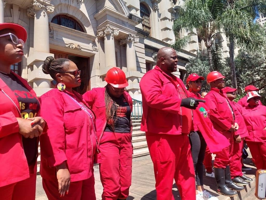 The EFF will seek "constitutional damages" of R100 000 or R500 000 for the various MPs who were violently removed. (Nkosikhona Duma/News24)