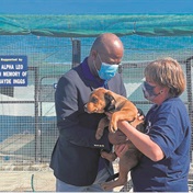‘History made’ with massive donation to SPCA