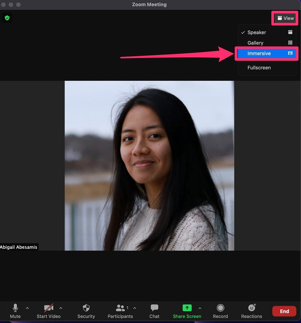 how to change background on zoom as a participant