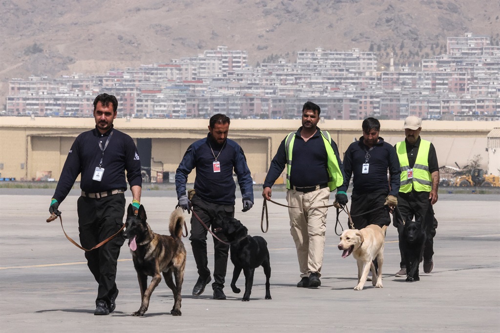 Handlers training dogs which were left behind during last month's chaotic evacuations from Afghanistan, in a makeshift training centre at the airport in Kabul.