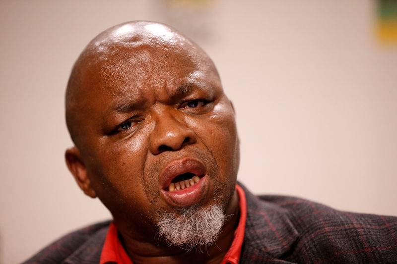 Gwede Mantashe, Minister of Mineral Resources and Energy