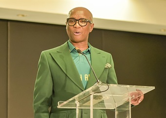 Springboks 'can't be owned by Americans': Kodwa wants to be in the loop on SA Rugby equity deal