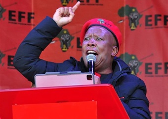 WATCH | Did Malema just say that?