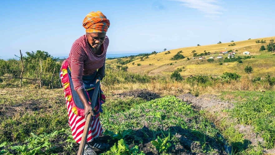Farmer Neliswa Mdukisa tends her garden in Xoloben