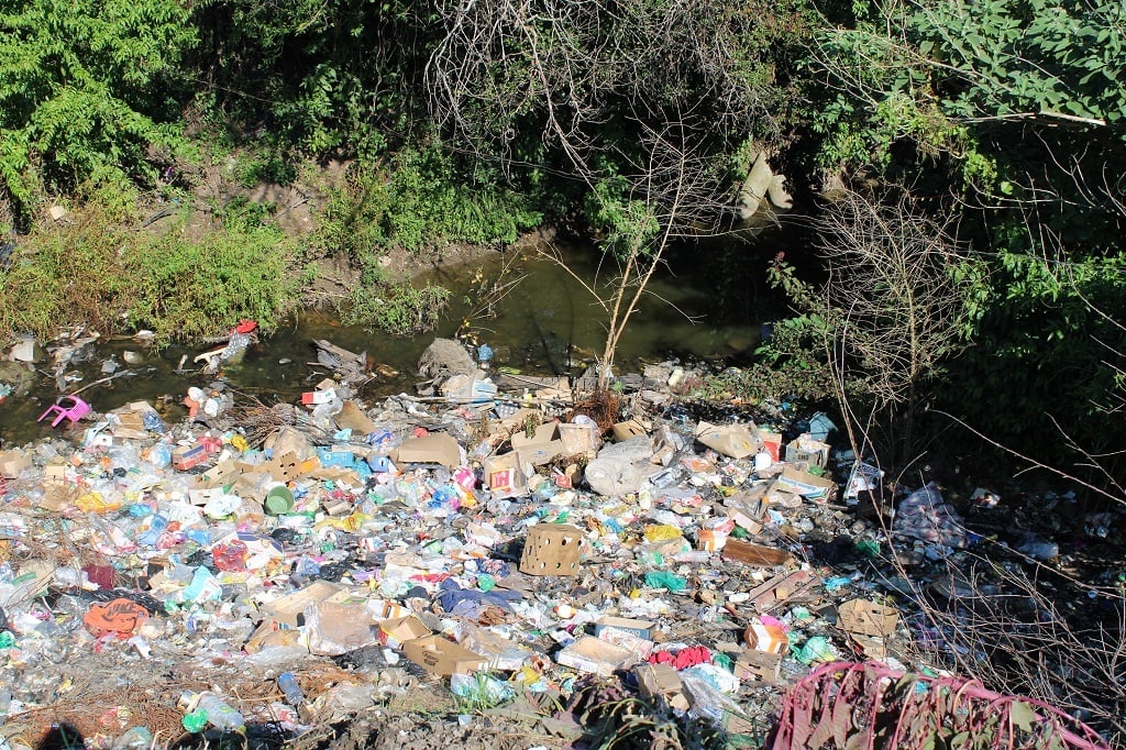 Waste in Amalinda Forest informal settlement in East London. (Zondelela Njaba).