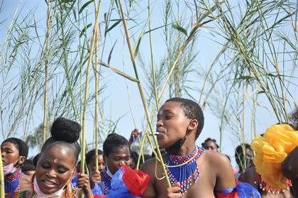 PICS: First Reed Dance for the king! | Daily Sun