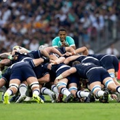 World champions Springboks to face Scotland at Murrayfield for autumn Test