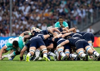 World champions Springboks to face Scotland at Murrayfield for autumn Test