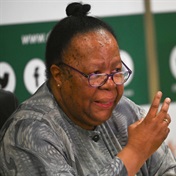 We shouldn't cut off engagement (with Iran) or take a hard position (on Russia), Pandor says