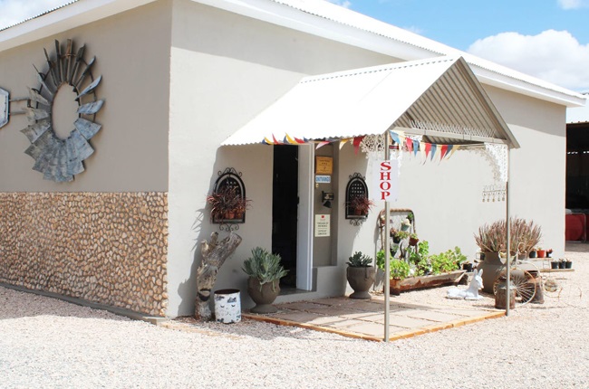 Kalahari Gasteplaas en Plaasstal
