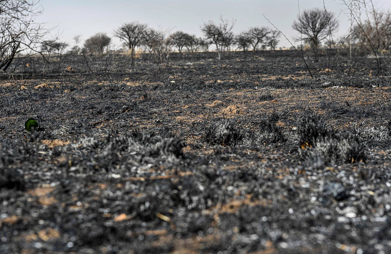 Twee groot veldbrande het veroorsaak dat talle plase se weiveld in die Glen-omgewing tussen Bloemfontein en Brandfort die afgelope week af gebrand het. Die foto is vanaf die N1 geneem.  Foto: Mlungisi Louw