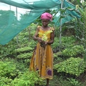 A subsistence farmer in Ghana finds a way to get her rain back