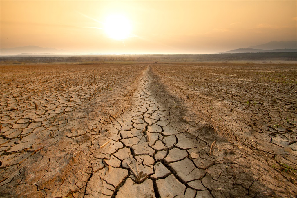 News24 | Zim to get over half of $60m payout for El Niño-hit African nations