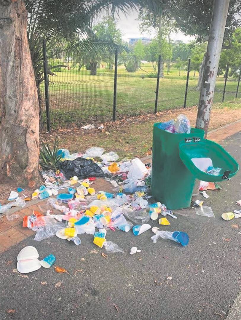 Green bins intended for pedestrians are a sight for sore eyes. Residents and interest groups are at loggerheads regarding whether they should stay or go. 