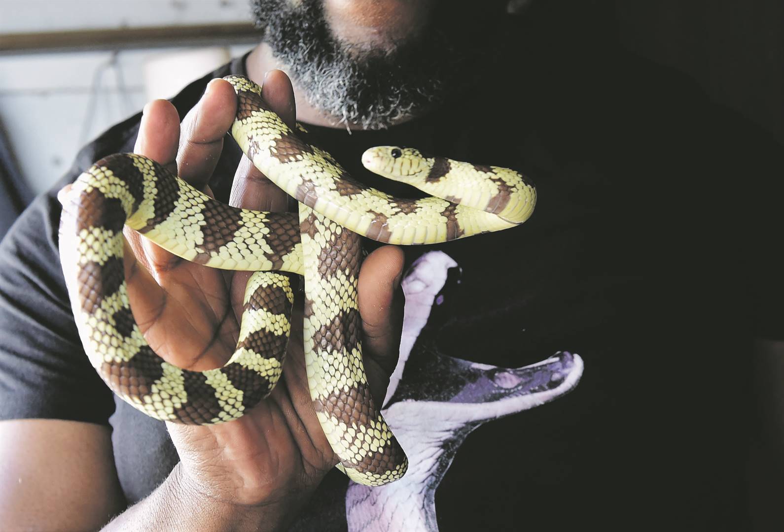 Si the snake catcher - Daily Leader