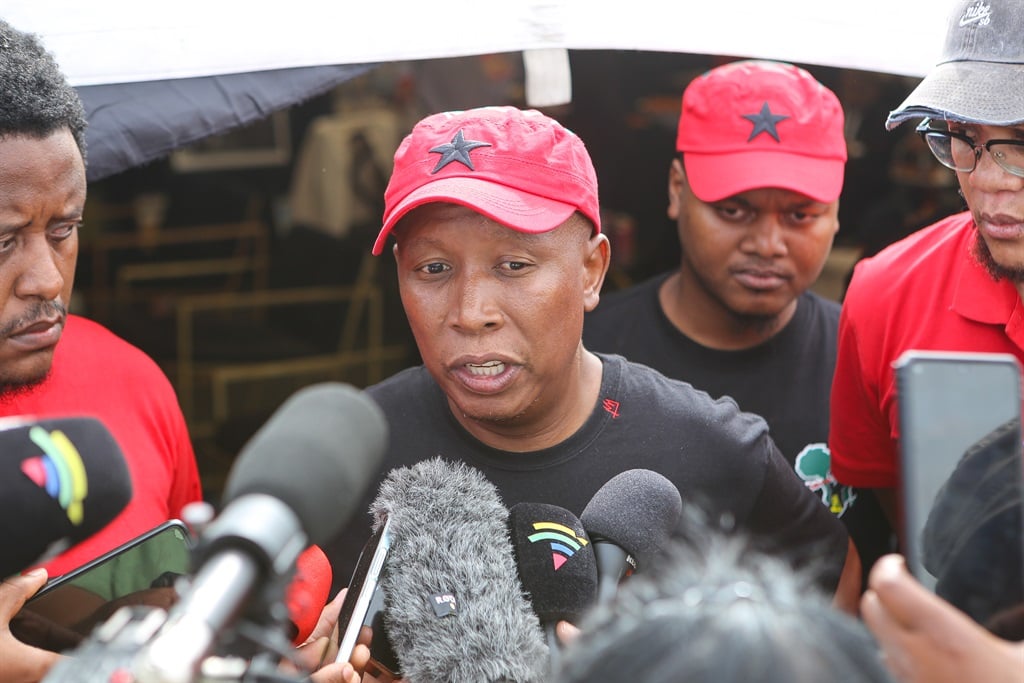 EFF leader Julius Malema. (Ziyaad Douglas/Gallo Images)