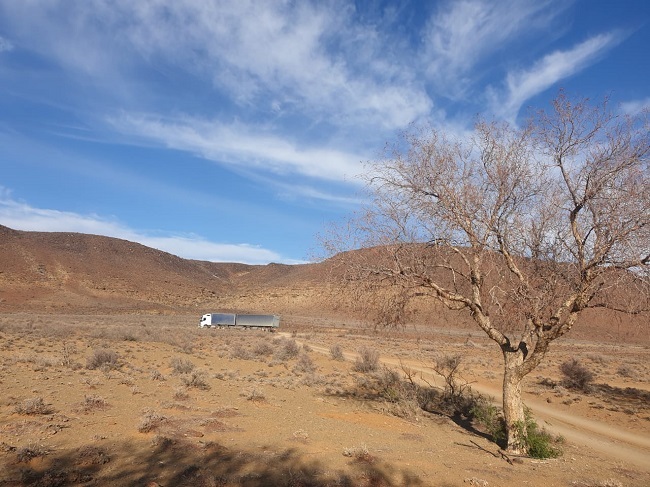 Boere in die Noord-Kaap, wat steeds onder die voortslepende droogte gebuk gaan, bly afhanklik van voer en skenkings om te oorleef. Foto: Nestie Smit