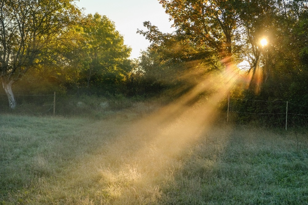 Morning fog with partly cloudy conditions and cool to warm temperatures are expected in multiple regions. (Schon/Getty Images)