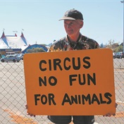 Controversial circus draws crowds despite animal rights protests at Fairbridge Mall in Brackenfell