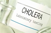 What causes cholera?
