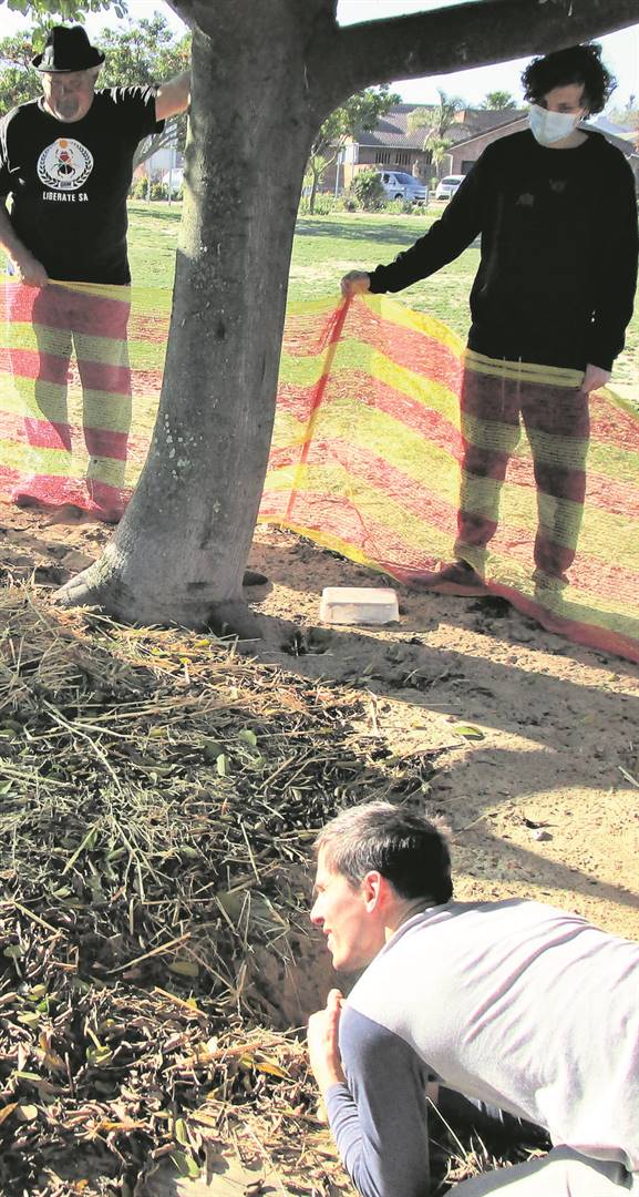 Bunnies rescued in Vredekloof | Netwerk24