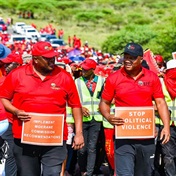 EFF's Dlamini pushes for land occupation, despite court's warning on land invasion