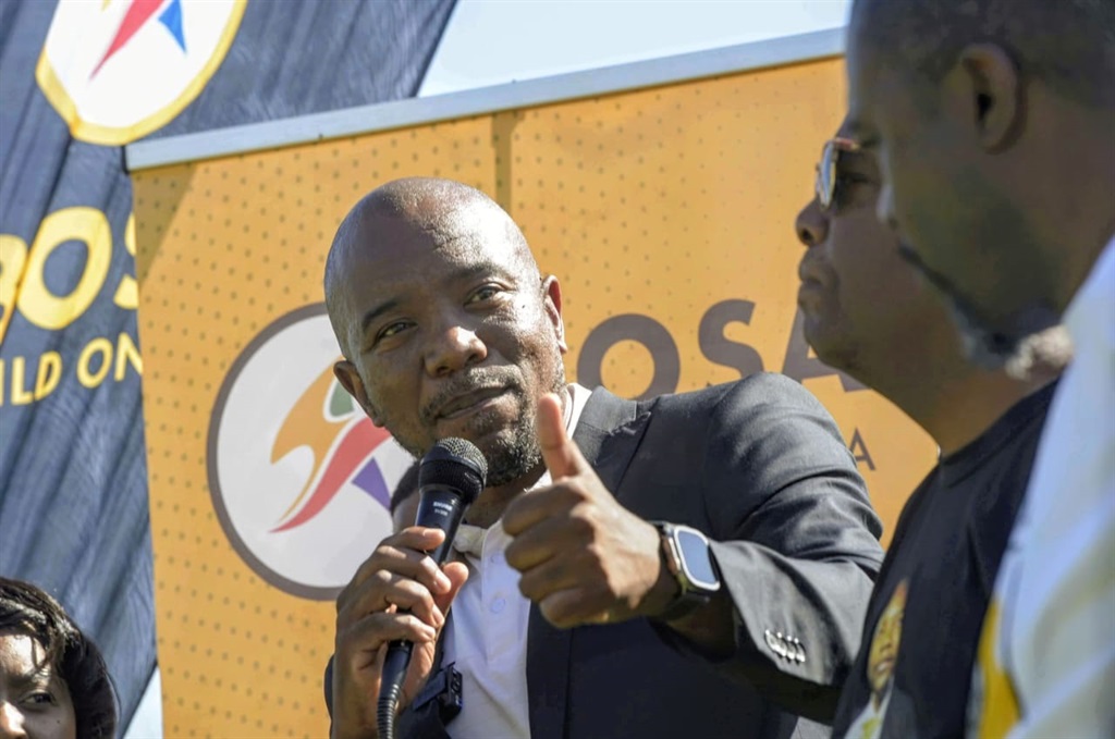 Bosa leader Mmusi Maimane announced his party's plan to build a world-class government. Photo by Raymond Morare 