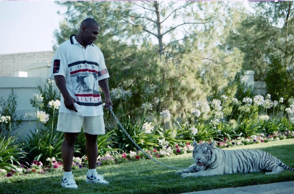 Mike Tyson poses with his white tiger during an interview at his home. (The Ring Magazine via Getty Images)