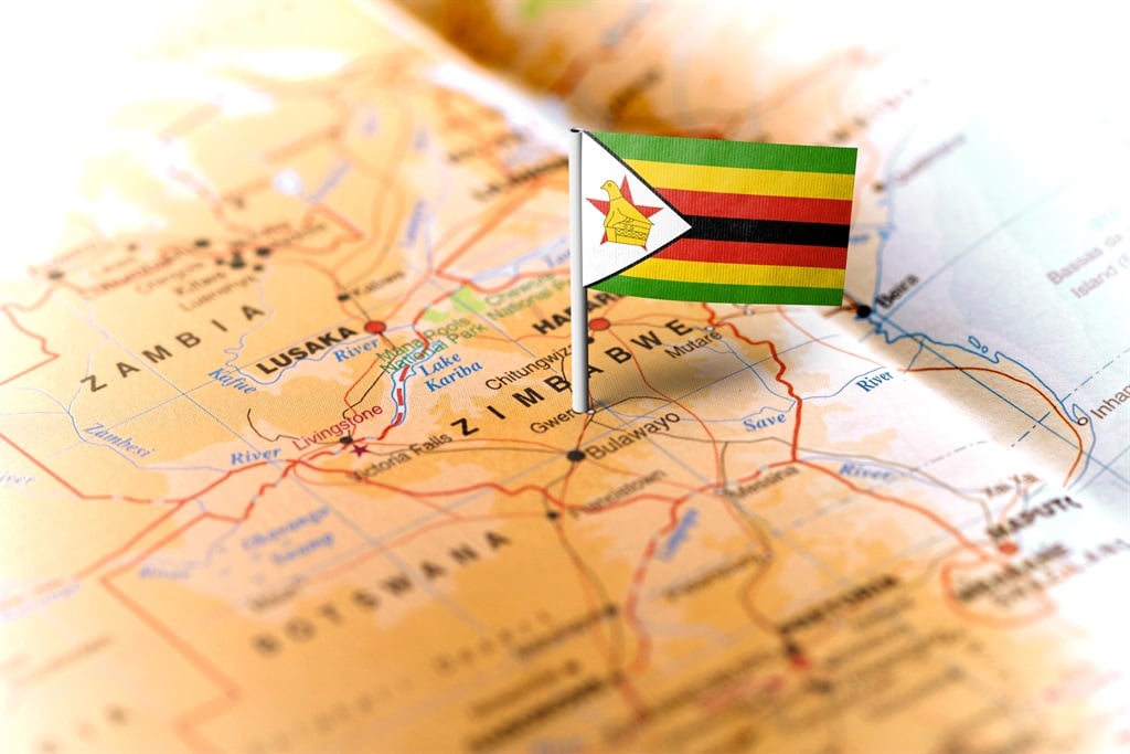 News24 | Zimbabwe's new ZiG currency starts trading amid big doubts