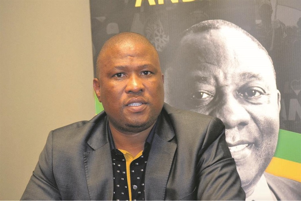 Mabuyane has enlisted the services of renowned advocates Tembeka Ngcukaitobi (SC) and Apla Bodlani to file the court papers against Mkhwebane in what is probably the biggest fight of his political career. Luvuyo Mehlwana