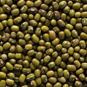 Fake eggs made from mung beans are a step closer to hitting Europe's supermarkets