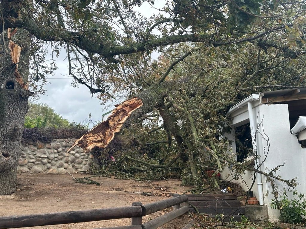 A tree fell on a home in Stellenbosch due to strong winds and heavy downpours. (Marvin Charles/News24)