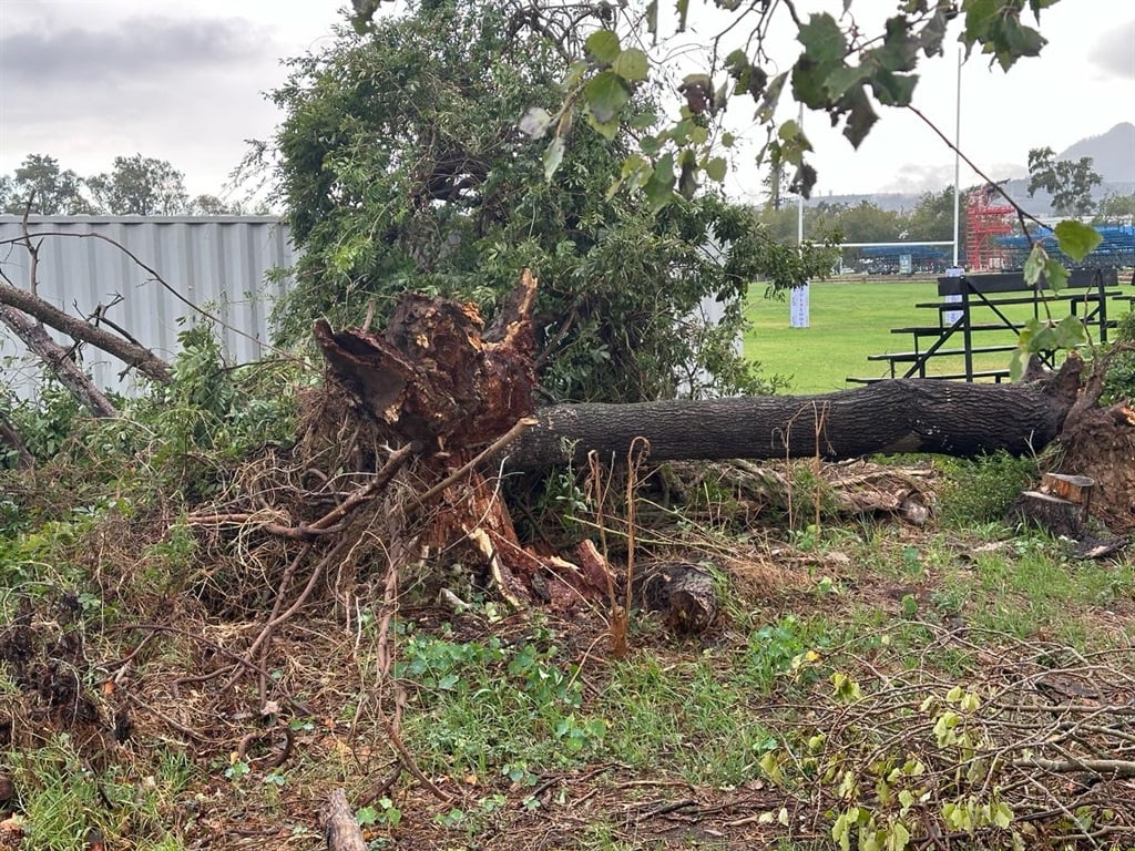Trees were uprooted due to the severe storm in Stellenbosch. (Marvin Charles/ News24)