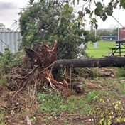 Western Cape storms: Mop-up operations under way after trail of destruction left in Stellenbosch