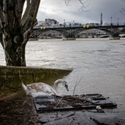 Powerful storm in France cuts electricity to 250 000 homes
