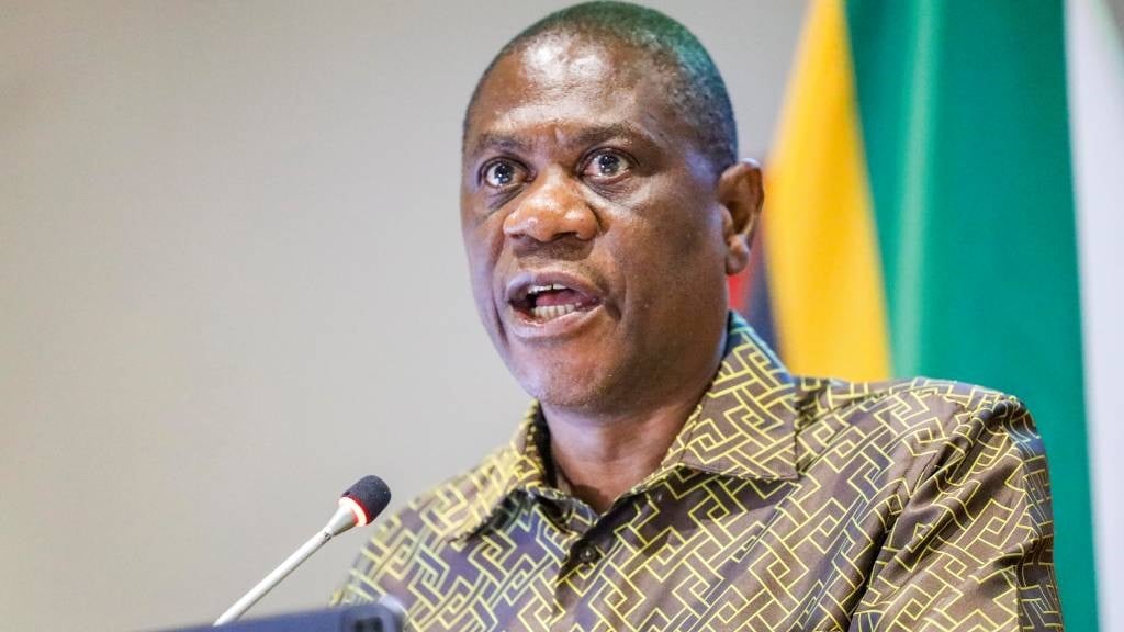 Deputy President Paul Mashatile has promised that load shedding will be a thing of the past by the end of 2024. (OJ Koloti/Gallo Images)