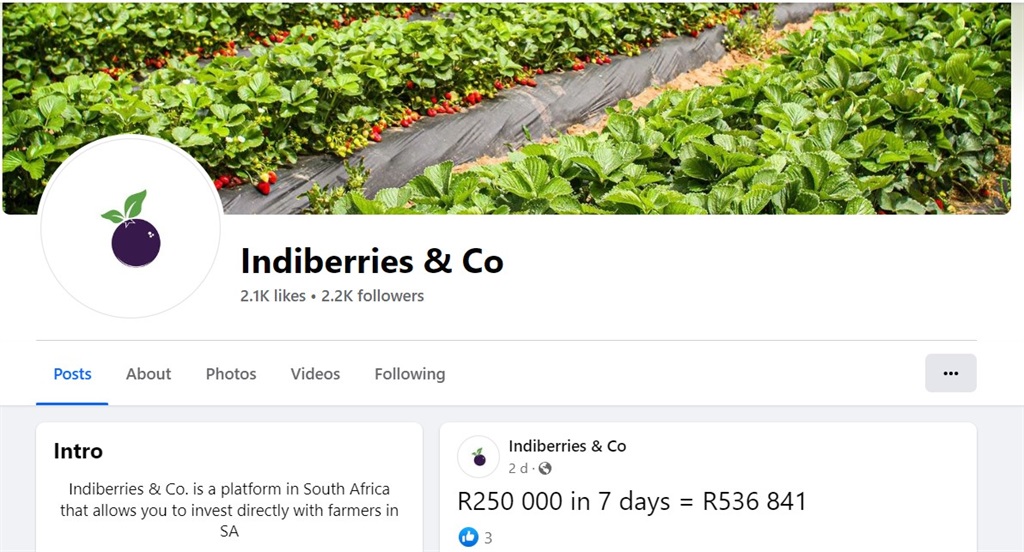 Indieberry Facebook page