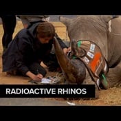  Nuclear technology may be horn in poachers' sides