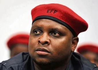 LIVE | WATCH: 'EFF never advocated for illegal immigration'