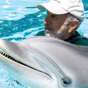 This amazing dolphin looks and feels like the real thing but it's really a robot