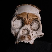 PICS | 250 000-year-old skull of Homo naledi child found in Joburg cave