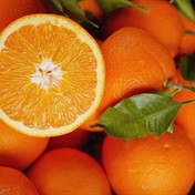 Citrus fight: SA moves to take action against EU 