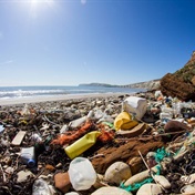 SA to call for fund to help end plastic pollution in global treaty