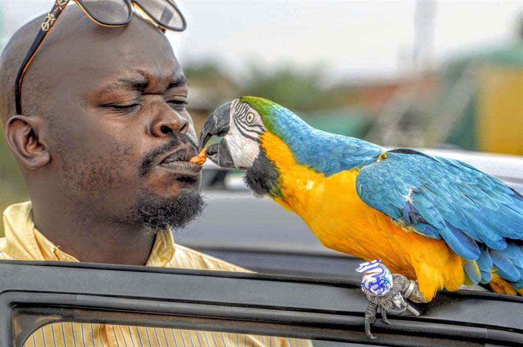Brandon Maluleka (40) from North West, who says his best friend, a parrot called Maluks, loves eating fried chicken and chocolates. Photo by Raymond Morare 