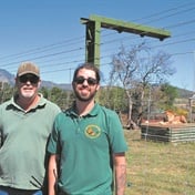 Drakenstein Lion Park continues to care for big cats