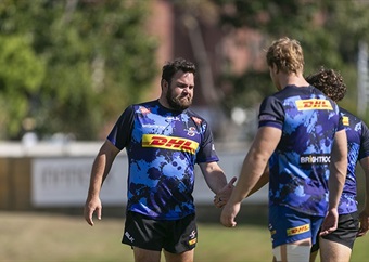 Stormers skipper Frans says Sacha deal a sign of 'promising things happening at the union'