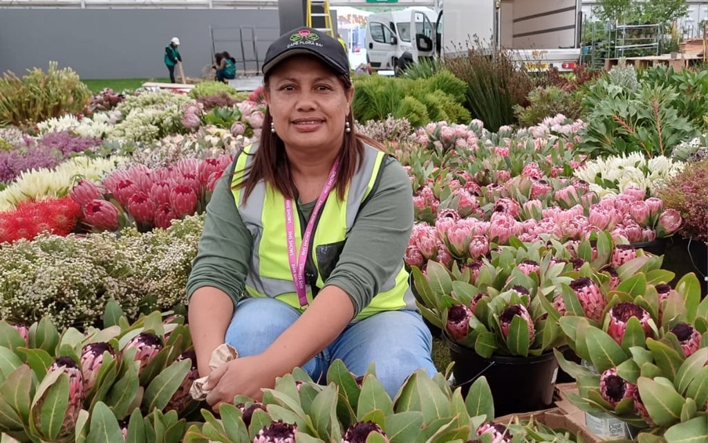 News24 | So fine, boss! SA fynbos display scoops gold at Chelsea Flower Show 