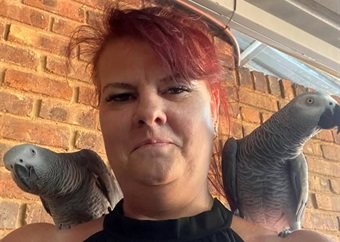 Vrou (50) van Brakpan gekaap, boewe ook met 2 papegaaie vort